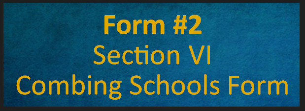 Section VI Combing of Schools Form 2